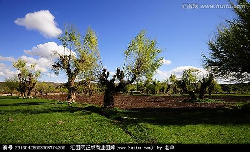 榆树天气预报10天查询