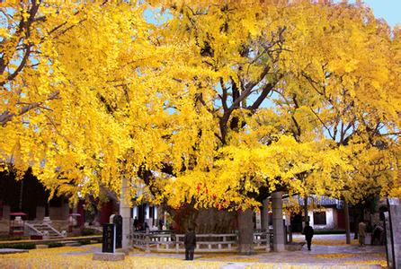 日照莒县天气预报_莒县天气预报一周7天10天15天日照莒县天气预报,莒县天气预报一周7天10天15天