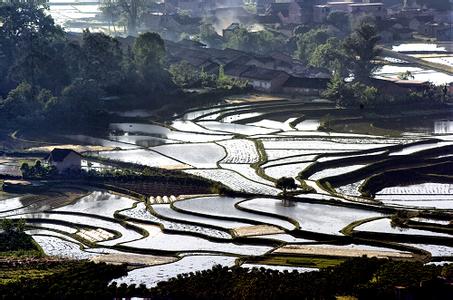 桂林临桂天气预报_临桂天气预报一周7天10天15天桂林临桂天气预报,临桂天气预报一周7天10天15天