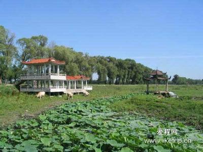 黑山pm2.5实时查询,黑山县空气质量指数查询