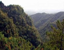 天水五龙山天气 天水五龙山天气