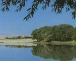 敦煌南湖天气 敦煌南湖天气