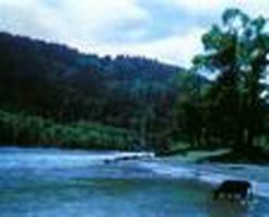 陇南香山 陇南香山