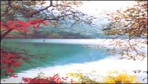 陇南文县天池天气 陇南文县天池天气