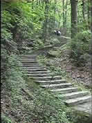 临夏岳麓山天气 临夏岳麓山天气