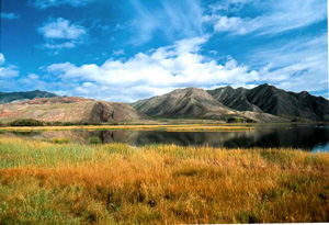 甘南桑科草原天气 甘南桑科草原天气