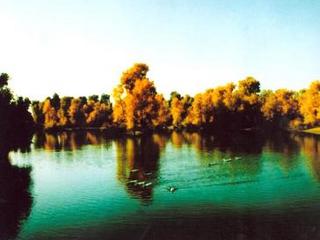 库尔勒胡杨森林公园天气 库尔勒胡杨森林公园天气