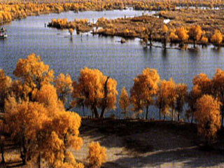 阿克苏塔里木河天气 阿克苏塔里木河天气