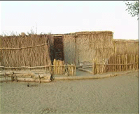 和田达里雅布依民俗村天气 和田达里雅布依民俗村天气