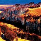 阿勒泰蝴蝶沟天气 阿勒泰蝴蝶沟天气