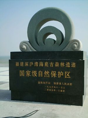 晋江深沪湾海底古森林自然保护区