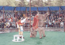 哈尔滨动物园天气 哈尔滨动物园天气