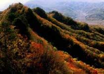 梅河口鸡冠山风景区天气 梅河口鸡冠山风景区天气