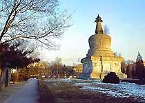 沈阳清初四塔天气 沈阳清初四塔天气