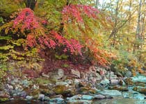 宽甸天桥沟天气 宽甸天桥沟天气