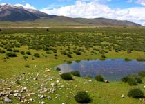 那曲羌塘草原天气 那曲羌塘草原天气