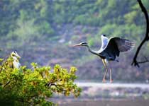 山丹龙首山自然保护区天气 山丹龙首山自然保护区天气