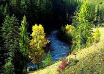 甘南州大峪沟风景区天气 甘南州大峪沟风景区天气