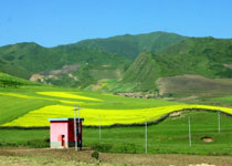 甘南州吉祥花滩天气 甘南州吉祥花滩天气