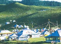 甘南州当周草原天气 甘南州当周草原天气