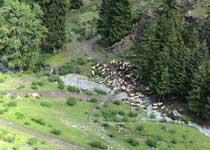 乌鲁木齐花儿沟天气 乌鲁木齐花儿沟天气