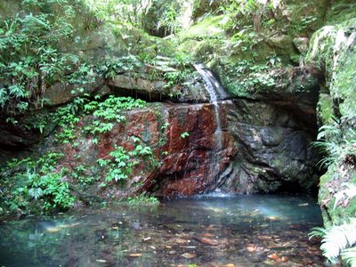 龙岩东肖森林公园 龙岩东肖森林公园