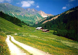 宁德仙山牧场 宁德仙山牧场