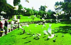 本溪望溪公园天气 本溪望溪公园天气