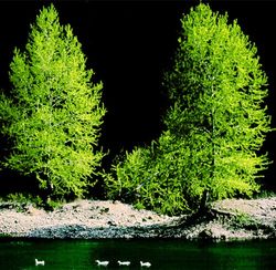 本溪湖天气 本溪湖天气