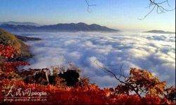 本溪老秃顶自然保护区天气 本溪老秃顶自然保护区天气