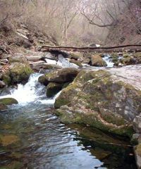 本溪汤沟天气 本溪汤沟天气