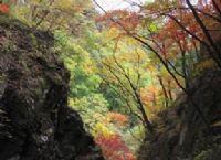 丹东虎塘沟天气 丹东虎塘沟天气