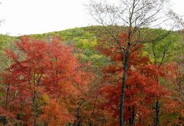 丹东天桥沟国家森林公园天气 丹东天桥沟国家森林公园天气