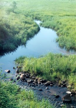 哈尔滨鹤岗国家森林公园天气 哈尔滨鹤岗国家森林公园天气