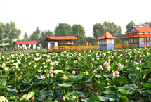 哈尔滨方正莲花湖公园天气 哈尔滨方正莲花湖公园天气