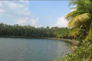 鸡西巴愣河天气 鸡西巴愣河天气