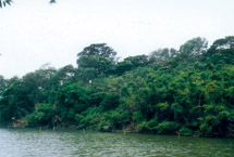 鸡西八楞山天气 鸡西八楞山天气