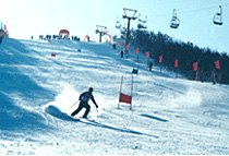 佳木斯卧佛山滑雪场天气 佳木斯卧佛山滑雪场天气