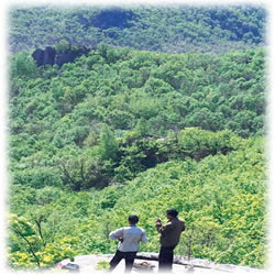 牡丹江牡丹峰天气