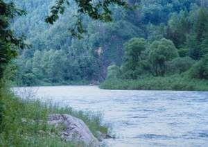 五大连池大沾河国家森林公园天气 五大连池大沾河国家森林公园天气