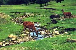 大兴安岭胜山狩猎场天气 大兴安岭胜山狩猎场天气