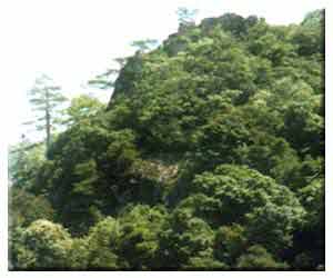 南平湛庐山天气 南平湛庐山天气