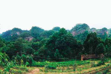 邵武天成岩天气 邵武天成岩天气