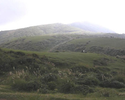 台湾擎天岗天气 台湾擎天岗天气