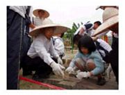 台湾慈晖农场天气 台湾慈晖农场天气