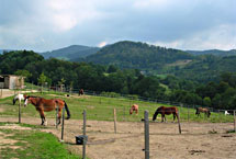 台中后里马场天气 台中后里马场天气