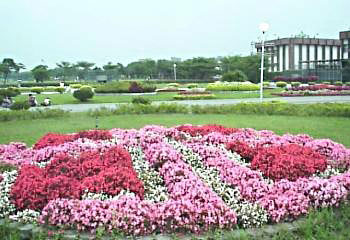 台湾新生公园天气 台湾新生公园天气