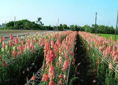 台湾公路花园天气 台湾公路花园天气