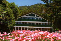 台中武陵农场天气 台中武陵农场天气