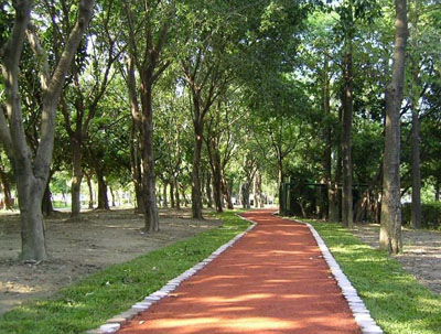 台湾大安森林公园天气 台湾大安森林公园天气